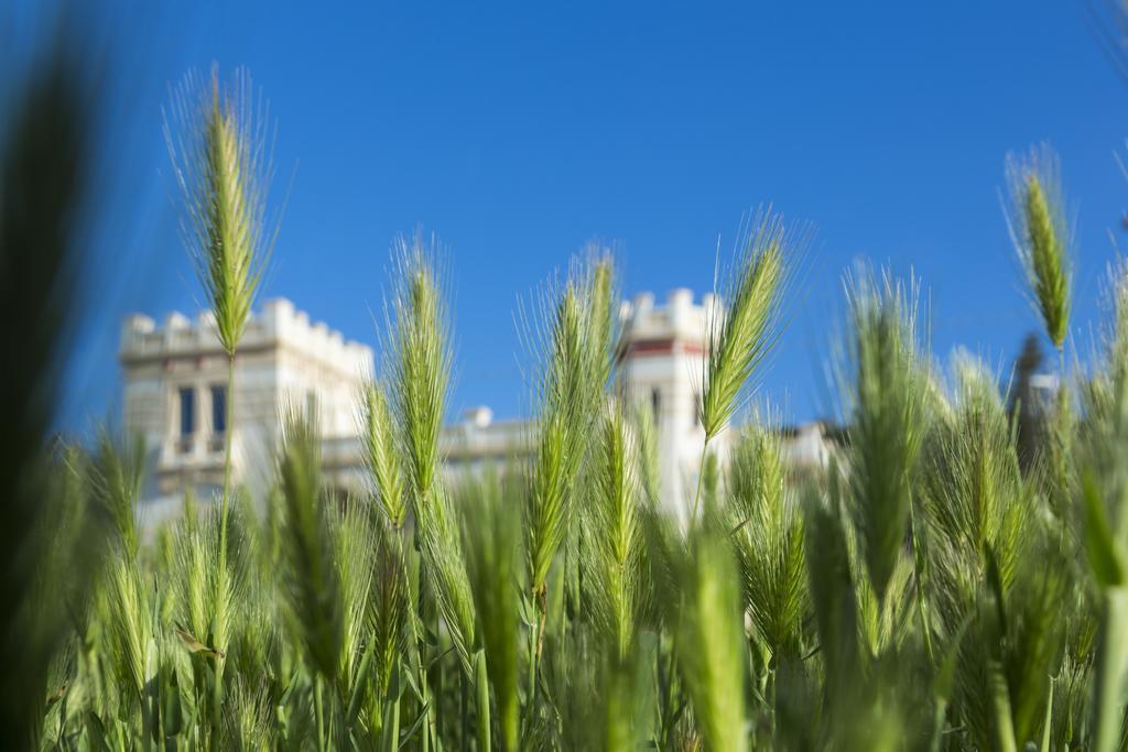 Villa Raffaella Santa Cesarea Terme Εξωτερικό φωτογραφία