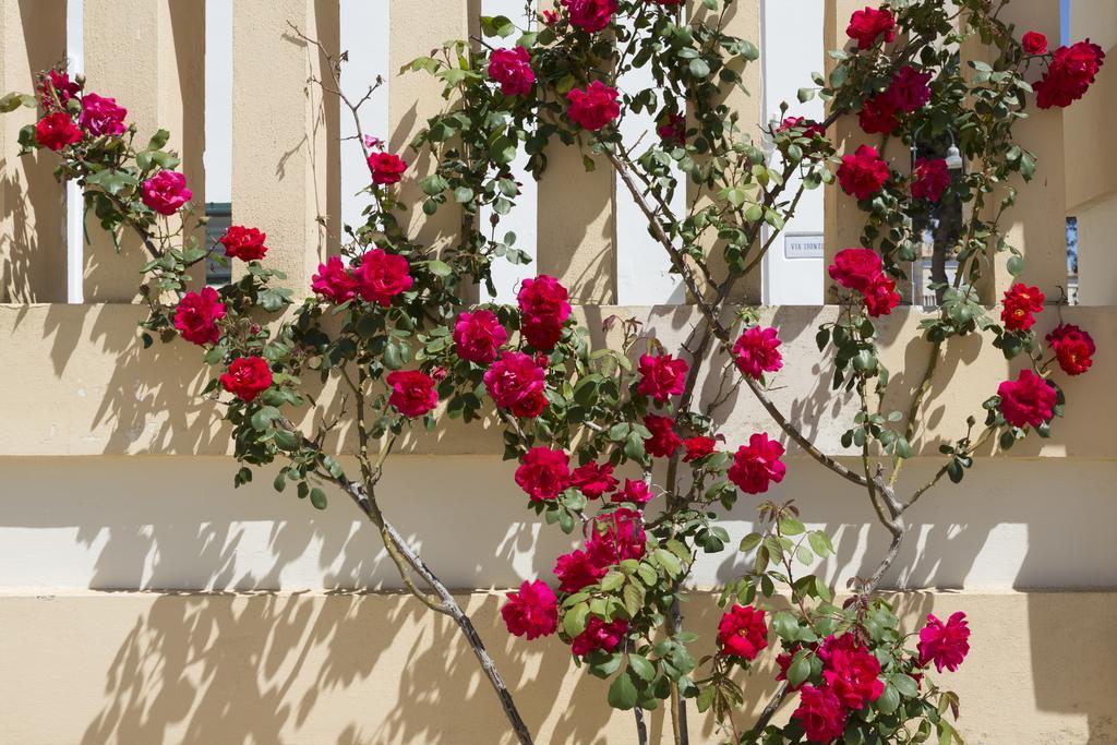 Villa Raffaella Santa Cesarea Terme Εξωτερικό φωτογραφία